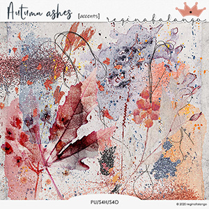 AUTUMN ASHES ACCENTS