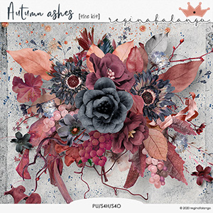 AUTUMN ASHES THE KIT