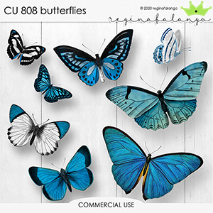 CU 808 BUTTERFLIES 