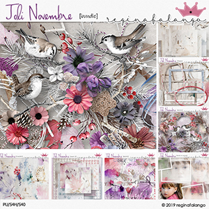 JOLI NOVEMBRE BUNDLE