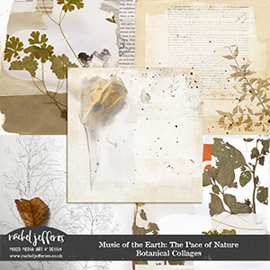 Music of the Earth: The Pace of Nature | Botanical Collages by Rachel Jefferies