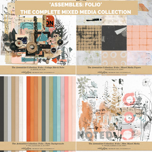 The Assembles Collection: Folio | The Complete Mixed Media Collection by Rachel Jefferies