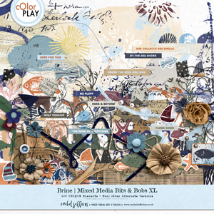 Brine | Mixed Media Bits & Bobs XL by Rachel Jefferies