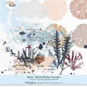 Brine | Mixed Media Overlays by Rachel Jefferies 