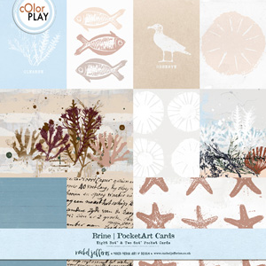 Brine | Pocket Art Cards by Rachel Jefferies