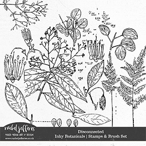 Disconnected | Inky Botanicals Stamps & Brush Set by Rachel Jefferies