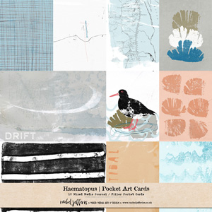 Haematopus | Pocket Art Cards by Rachel Jefferies