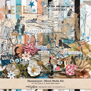 Haematopus | Mixed Media Kit by Rachel Jefferies
