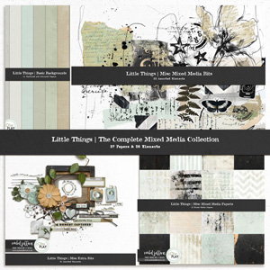 Little Things | The Complete Mixed Media Collection by Rachel Jefferies