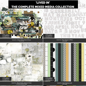 Lived In | The Complete Mixed Media Collection by Rachel Jefferies