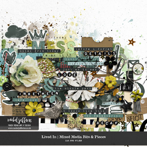 Lived In | Mixed Media Bits & Pieces by Rachel Jefferies