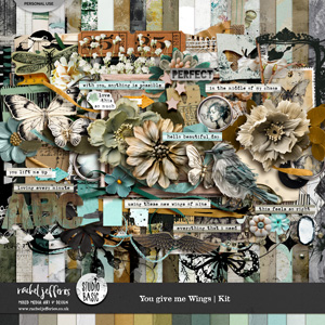 You Give Me Wings | Kit by Rachel Jefferies and Studio Basic Designs