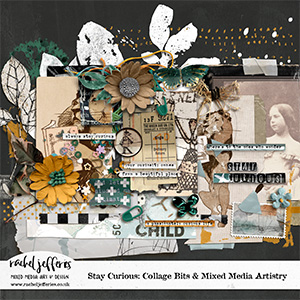 Stay Curious: Collage Bits and Mixed Media Artistry by Rachel Jefferies