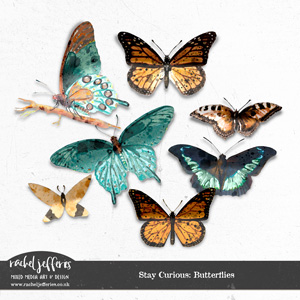 Stay Curious: Butterflies by Rachel Jefferies