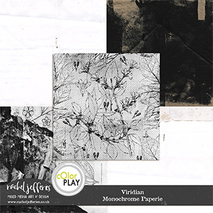 Viridian | Monochrome Paperie by Rachel Jefferies