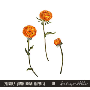 CU Calendula