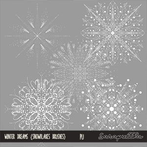 Winter Dreams Brushes 02