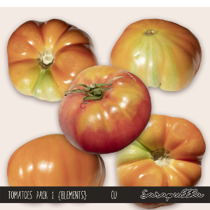 CU Tomatoes Pack 01 Elements