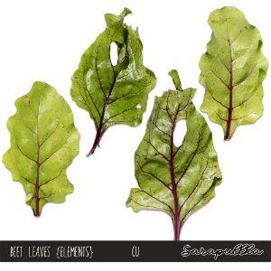 CU Beet Leaves Elements