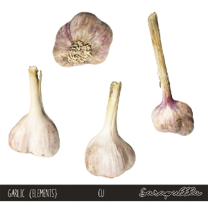 CU Garlic Elements 01