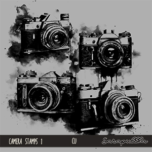 CU Camera Stamps 1