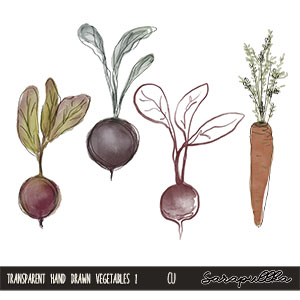 CU Transparent Hand Drawn Vegetables 1