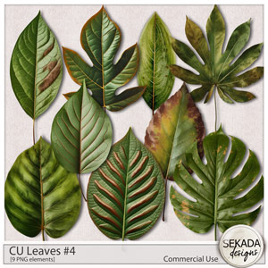 CU Leaves #4 by Sekada Designs