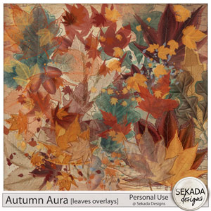 Autumn Aura Leaves Overlays by Sekada Designs 