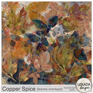 Copper Spice Leaves Overlays by Sekada Designs