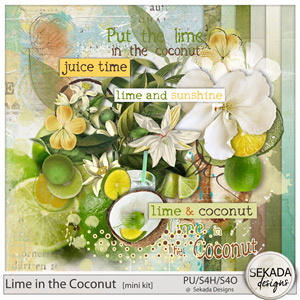 Lime in the Coconut Mini Kit by Sekada Designs