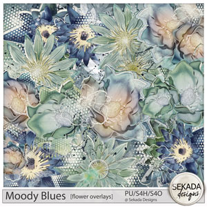 Moody Blues Flower Overlays by Sekada Designs