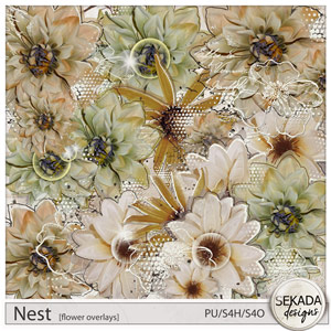 Nest Flover Overlays by Sekada Designs