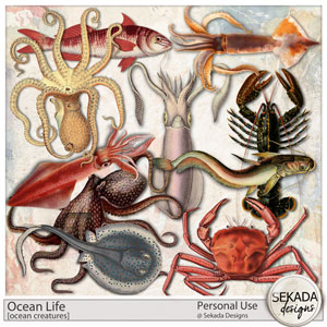 Ocean Life Ocean Creatures by Sekada Designs