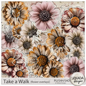 Take a Walk Flower Overlays by Sekada Designs