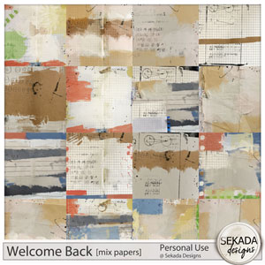 Welcome Back Mix Papers by Sekada Designs 