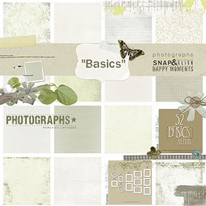 52 Inspirations :: 2011 {Basics}