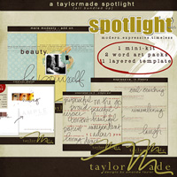 TaylorMade Spotlight Bundle Kit