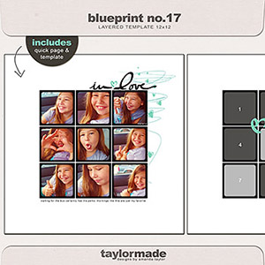 taylored blueprint 17