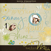 Sunny Disposition - The Elements