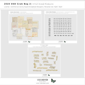 DSD 2020 Grab Bag