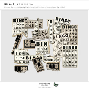 Bingo Bits