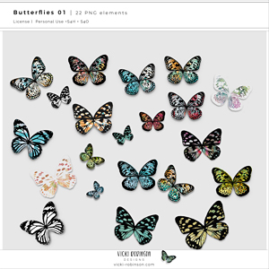 Butterflies 01