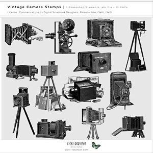 Vintage Camera Stamps and brushes