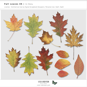 Fall Leaves 05