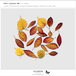 Fall Leaves 06