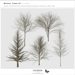 Winter Trees 01