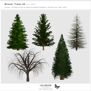 Winter Trees 02