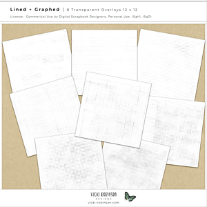 Lined and Graphed Transparent Page Overlays