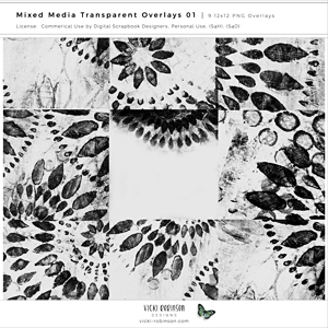 Mixed Media Transparent Overlays 01