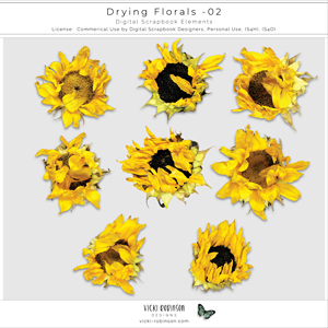 Drying Florals 02